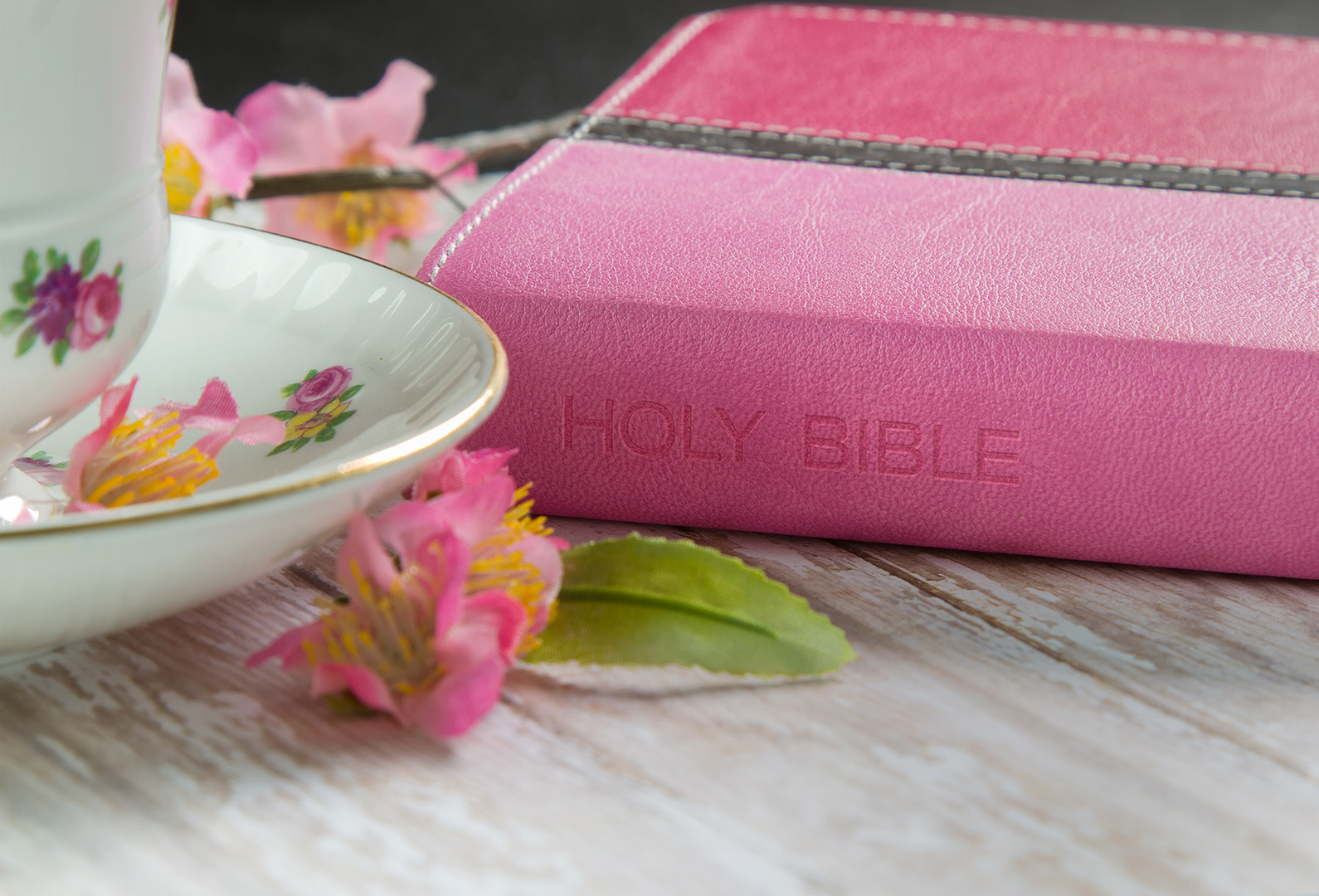Bible Study Ideas